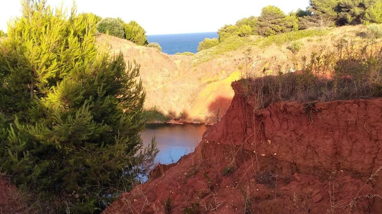 La Terrazza Sul Castello Lägenhet Palmariggi Exteriör bild